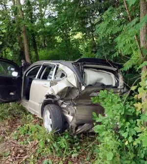 c5e462_08ddeded31ef468785a675d441f6e556mv2