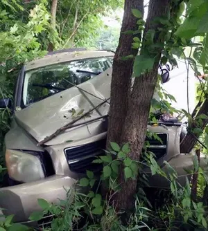 c5e462_1ed598e0361f438bb17eb5bd9b118e5bmv2