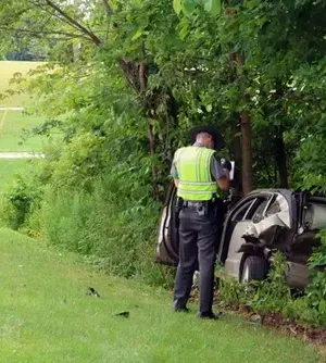 c5e462_35eec3d88fe94ad2b0ae2c34adedf0e0mv2