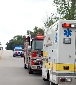 c5e462_ba69b155f1c34456a455494374cec3aemv2