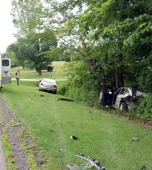 c5e462_dedad43d1faf4150a6a66a13c4ed6f59mv2