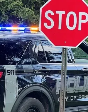 c5e462_519ea3795e7240e4a8af7f1fbcf1b4famv2