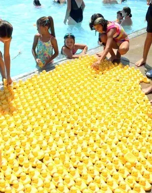 c5e462_20af0e77e8a945a693e1be0be29ff78fmv2