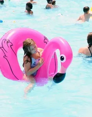 c5e462_22e79beb1f424d8aa55f77e6ccf5cb6fmv2