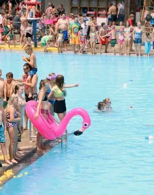 c5e462_3e0e1c8817d84b49a22a666abc039fc4mv2