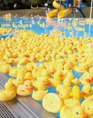 c5e462_52d71ece6ef64fa79b90d9ad0fd582d6mv2