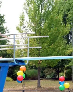 c5e462_55949a2f0d3b4b6da9d629705d3a6174mv2