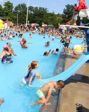 c5e462_5e5e8541ef9b45ef9f5d294c031a1bdbmv2