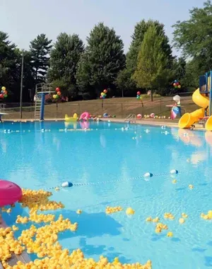 c5e462_67011857fc6648d8866d37b363927c82mv2