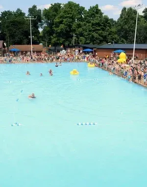 c5e462_76f0d27d13a84813ade7a62ccc3d40a7mv2