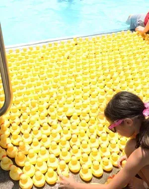 c5e462_80c640a09d014568845b457a315be621mv2