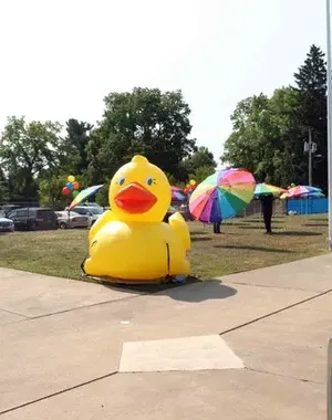 c5e462_cc261733408c4da383b26a30d0f78690mv2