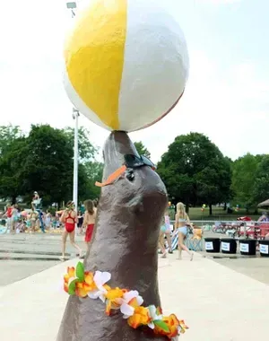 c5e462_dcb40eb10b814480878ac167ac9768dcmv2