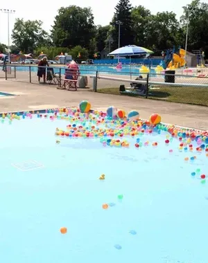 c5e462_dcc94c3b583b4e06ab27818cbd8dd3d3mv2