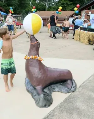 c5e462_ef51d57237eb455399d2309298a0c92emv2