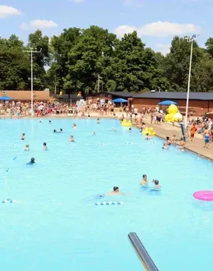 c5e462_fd7b919b4b3f41d89e051d37e9061a3fmv2