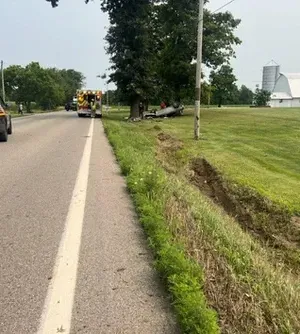 c5e462_4a1e12893934445ea65ac96469410e46mv2