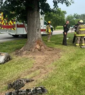 c5e462_7f89861ca1ef4330bce756dab9950871mv2