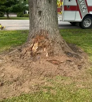 c5e462_ea0e4d852965457c90b33cdea4362892mv2