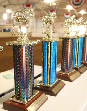 c5e462_6dc67a7a96f140299e193fc3ba6723d9mv2