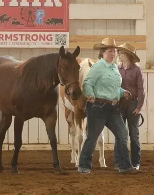 c5e462_801a131de9204237b9672ad6c46e52d7mv2