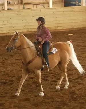 c5e462_835443ed77fa42dc973b13d5a026fdbemv2