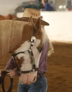 c5e462_88c7da345afd484c8c85873fd0ff0ba5mv2