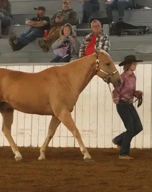 c5e462_bd853f3636bc4a6c8f374401e4f14acbmv2