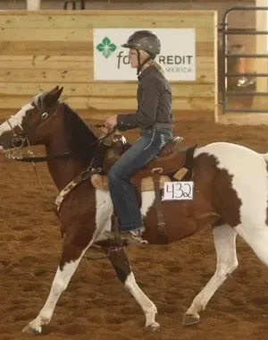 c5e462_d46436be30ef4178af2ed6fba5deac5bmv2