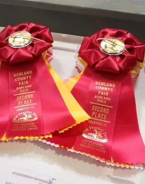 c5e462_db1f419c97f44f258096f508540cf43fmv2