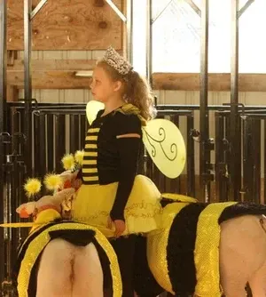 c5e462_247ebf79289b4a7e9b7d7e4d9919d137mv2