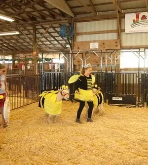 c5e462_24eb0531e7304754952f0d28ab8e70c9mv2