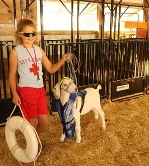 c5e462_3af8c0d01af2434596c1b4d0e081c607mv2