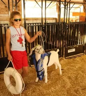 c5e462_572ceec34b5b4e75a55121226dd2e16emv2