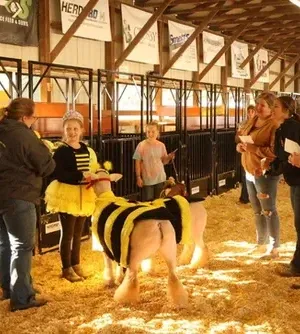 c5e462_76fc470a27f14c7e8a2e71c2f7cf60b8mv2