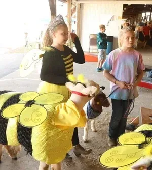 c5e462_d3886991ea8f4ee09baabfbad770be14mv2