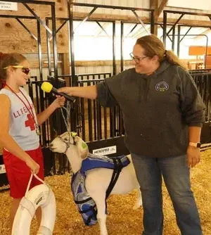 c5e462_e2c0fd7003c441169ce6bd59145bb9d8mv2