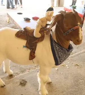 c5e462_e60aa55c0e054200a7374e9b51bb2918mv2