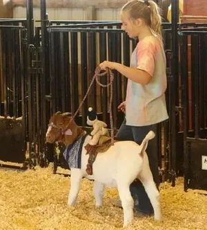 c5e462_f55786cc4d60406f90a60caf897bfd95mv2