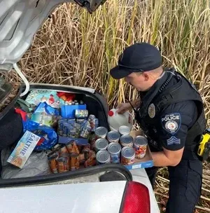 c5e462_36a2faa1f6b745739f19f712f1abf43fmv2