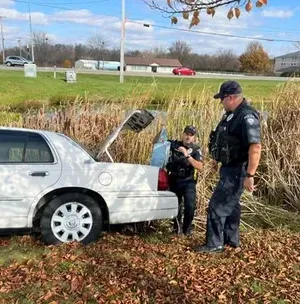 c5e462_ec43d800a8514441a4ae3fb11fcca5f0mv2