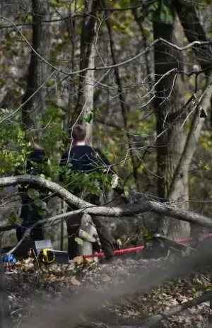 c5e462_ecf2481563824cd8821846d7f62ff58amv2