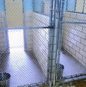 c5e462_2ff58f5388264db69e107b1cc52e5712mv2