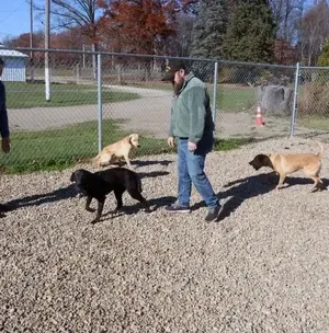 c5e462_de4ca15e630b457b86efcf216625aa79mv2