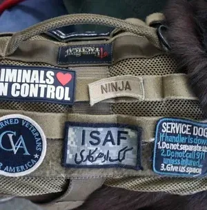 c5e462_ec10937ac52e40a7941111a3450bb1ccmv2