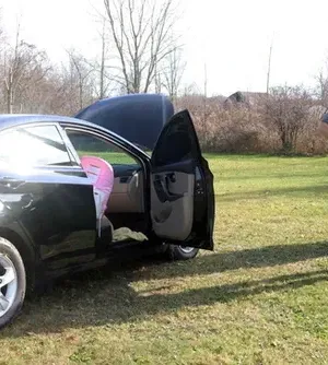 c5e462_2eb55c656fb34f1fbe3cdaeb2725ac1emv2