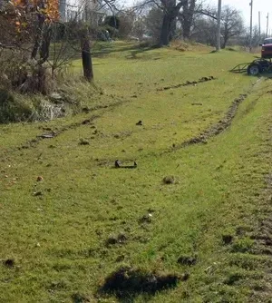 c5e462_401ecfc8cca743a6a9d4795770b25c5amv2