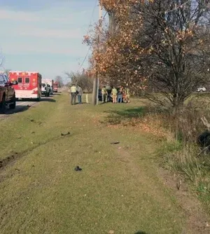 c5e462_7ba4fe48f2fa4c0cafa53cd91818013dmv2