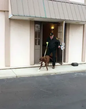 c5e462_469dc46c0689412abfe0c9d83a6d536amv2