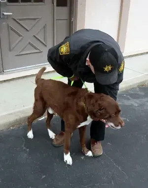 c5e462_47dc723ea27a418288ad106043de8c58mv2